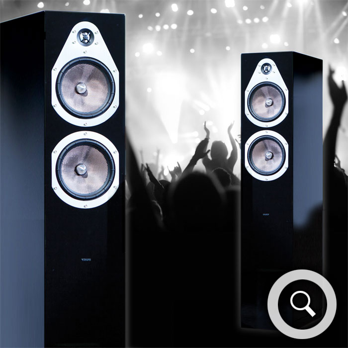 Ansicht Lautsprecher Energy V-6.2