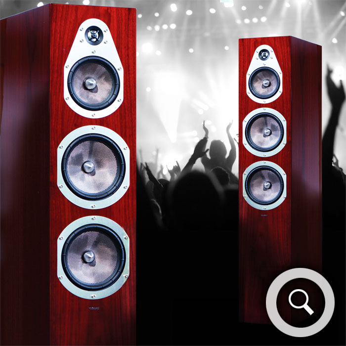 Ansicht Lautsprecher Energy V-6.2